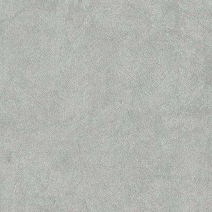 Vilo SPC Wall Panel Concrete Light